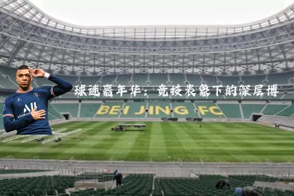 球迷嘉年华：竞技表象下的深层博弈